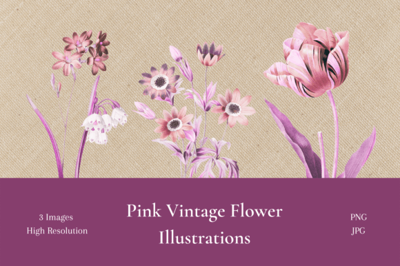 Charming Pink Vintage Flower Illustrations for Creative Projects