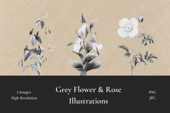 Elevate Your Design with Elegant Grey Floral Illustrations