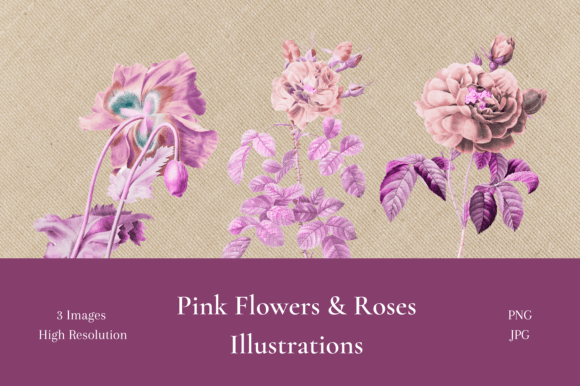 Enchanting Pink Flowers & Roses Illustrations for Your Projects