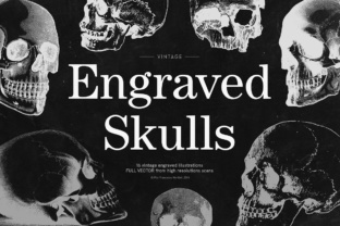 Engraved Skulls Illustrations: 16 Vintage Vectors for Impactful Design
