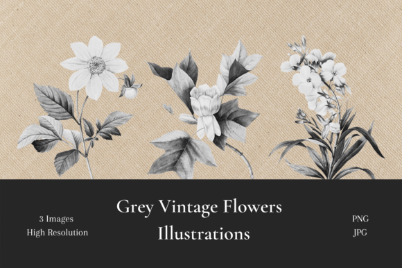 Grey Vintage Flowers Illustrations: A Timeless Design Asset