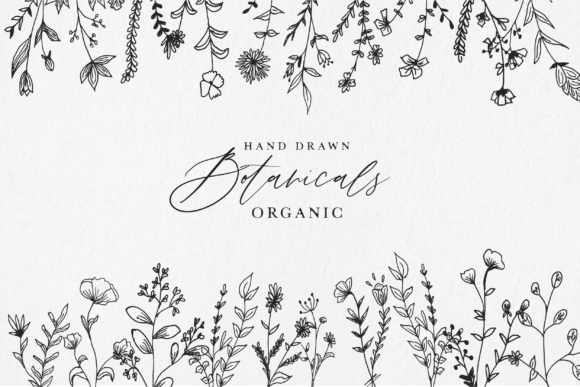 Hand Drawn Botanical Illustrations: A Designer's Natural Toolkit