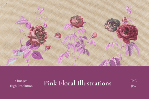 Timeless Elegance: Unlocking the Potential of Pink Floral Illustrations