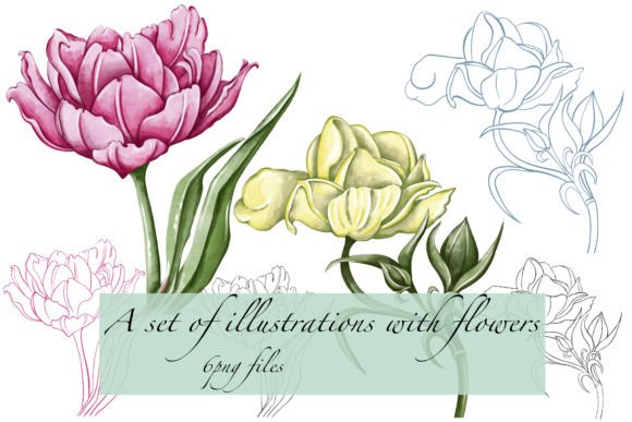 Unlocking Nature's Charm with Floral Illustrations